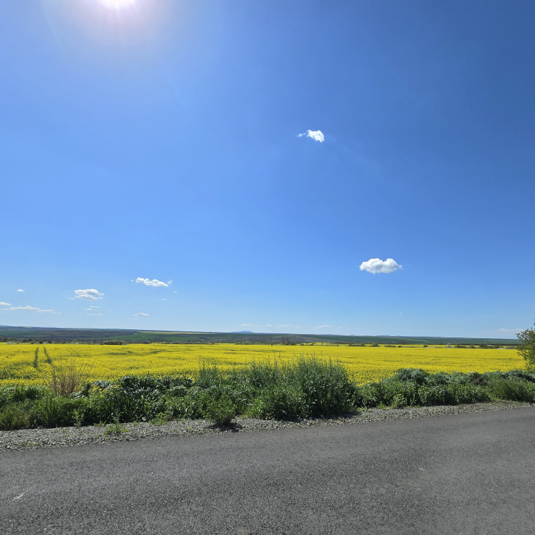 Дом в селе Аспарухово